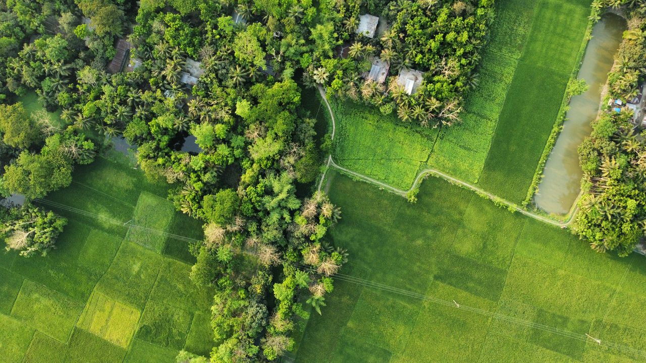 Stunning aerial view of lush green fields and trees in Dhaka, Bangladesh.