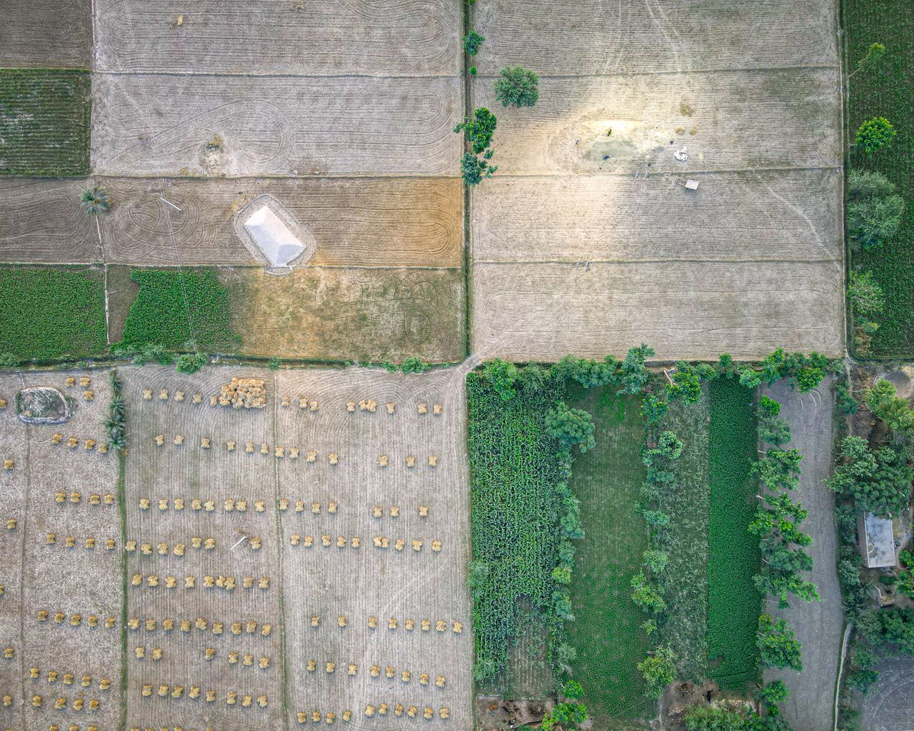Aerial shot capturing diverse farmland plots with green and brown fields.